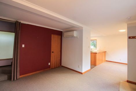 Photo of property in Parklane Mews, 326i The Terrace, Te Aro, Wellington, 6011