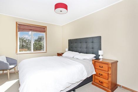 Photo of property in 17 Court Crescent, Panmure, Auckland, 1072