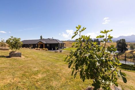 Photo of property in 250 Delta Lake Heights, Renwick, 7271