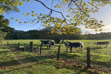 Photo of property in 51 Smithville Road, Te Kamo, Kamo, 0185