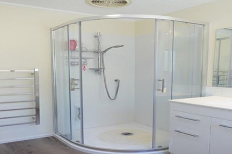 Photo of property in 1/163 Balmain Road, Birkenhead, Auckland, 0626