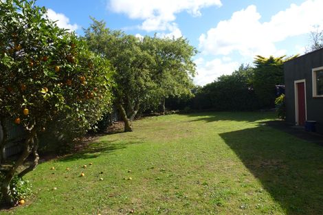 Photo of property in 46 Miro Street, Takaro, Palmerston North, 4410