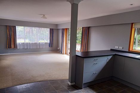 Photo of property in 100a The Terrace, Thames, 3500