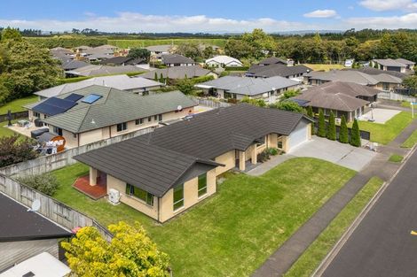 Photo of property in 10 Nolan Place, Katikati, 3129