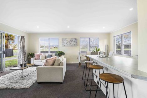 Photo of property in 24 Bremworth Avenue, Dinsdale, Hamilton, 3204