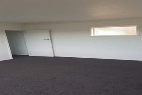 Photo of property in 153 The Ridgeway, Mornington, Wellington, 6021