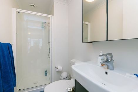 Photo of property in Monvie Apartments, 201/15 Holland Street, Te Aro, Wellington, 6011