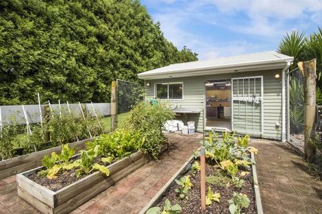 Photo of property in 81 Wharawhara Road, Tahawai, Katikati, 3178