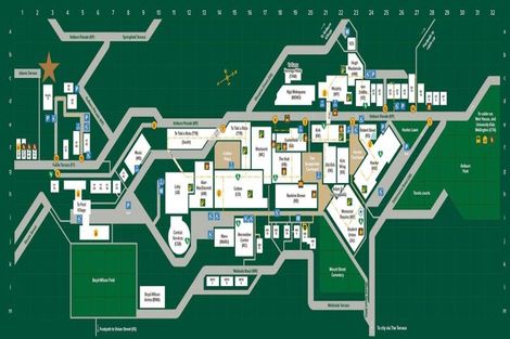 Photo of property in 32 Adams Terrace, Aro Valley, Wellington, 6021