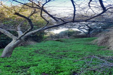 Photo of property in 5 Ipswich Street, Balclutha, 9230