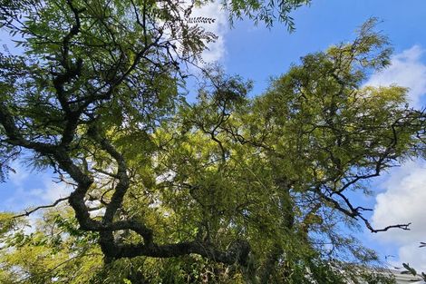 Photo of property in 55 Nelson Quay, Cobden, Greymouth, 7802