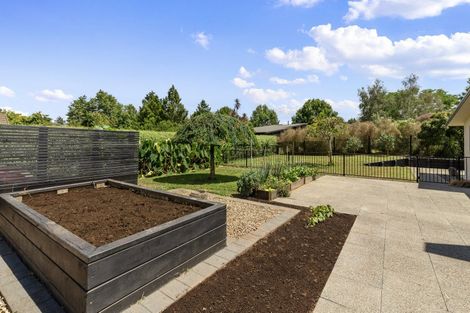 Photo of property in 56 Gordon Avenue, Te Aroha, 3392