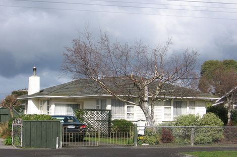Photo of property in 117 Pownall Street, Masterton, 5810