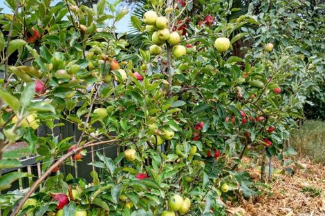 Photo of property in 82 Tawari Street, Matamata, 3400