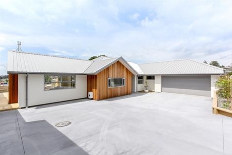 Photo of property in 55b Paynters Avenue, Strandon, New Plymouth, 4312