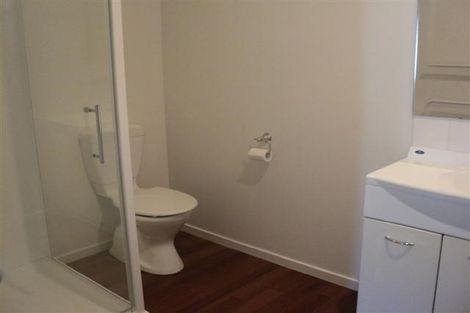 Photo of property in 20a Walpole Street, Waltham, Christchurch, 8023