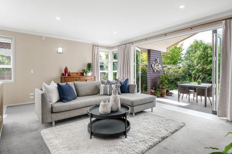 Photo of property in 17 Pollock Drive, Chartwell, Hamilton, 3210