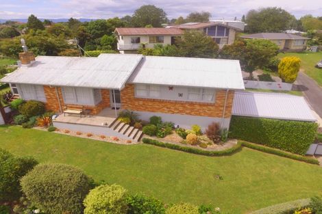 Photo of property in 115 Reservoir Street, Putaruru, 3411