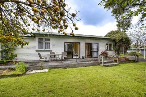 Photo of property in 19 Grey Street, Bay View, Napier, 4104