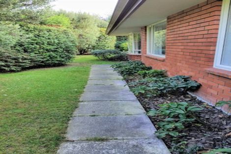 Photo of property in 1 Nina Lane, Somerfield, Christchurch, 8024