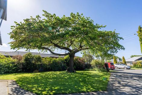 Photo of property in 18 Bullar Street, Grasmere, Invercargill, 9810