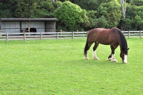 Photo of property in 207 Takapu Road, Manakau, Levin, 5573