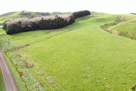 Photo of property in 130 Bowen Road, Eketahuna, 4994