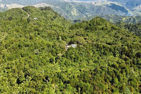 Photo of property in 552 Cuff Road, Erua, Owhango, 3990