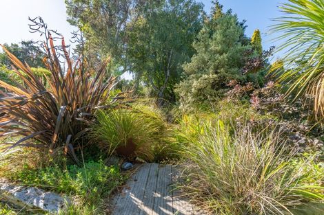 Photo of property in 12 Dixon Street, Carterton, 5713