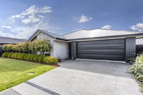 Photo of property in 29 Clement Avenue, Rolleston, 7615