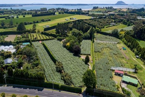 Photo of property in 42 Borell Road, Te Puna, Tauranga, 3174