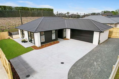 Photo of property in 16 Sam Heywood Place, Pyes Pa, Tauranga, 3112