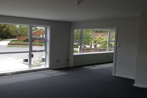 Photo of property in 6 Paikea Place, Somerfield, Christchurch, 8024