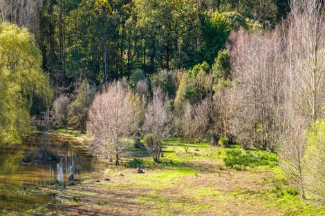 Photo of property in 23 Breckenridge Lane, Puketapu, Napier, 4183