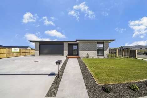 Photo of property in 12 Greig Crescent, Amberley, 7481