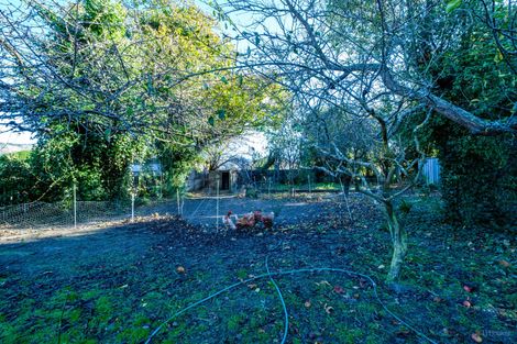 Photo of property in 12 Naylor Street, Waimate, 7924