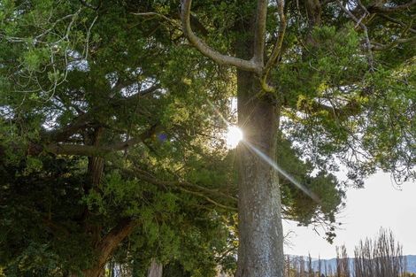 Photo of property in 23 Orchard Road, Greytown, 5712