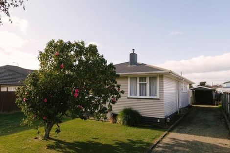 Photo of property in 3 Newbury Street, Awapuni, Palmerston North, 4412