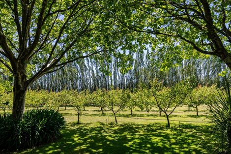 Photo of property in 92 Pauls Road, Rapaura, Blenheim, 7273