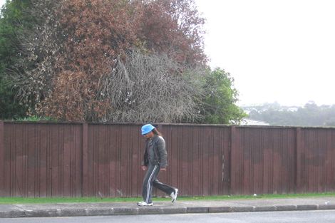 Photo of property in 50 Larissa Avenue, Henderson, Auckland, 0610