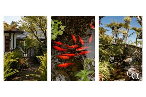 Photo of property in 860c Pyes Pa Road, Pyes Pa, Tauranga, 3173