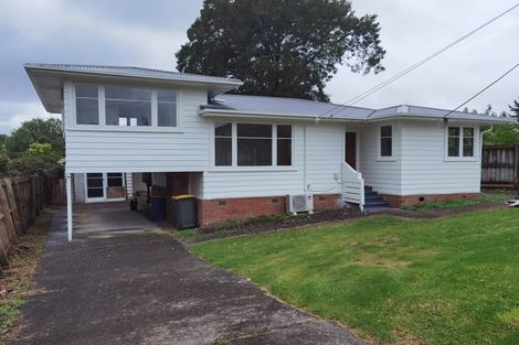 Photo of property in 1 Kereru Street, Henderson, Auckland, 0612