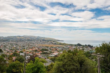 Photo of property in 30a Ravenswood Road, Saint Clair, Dunedin, 9012