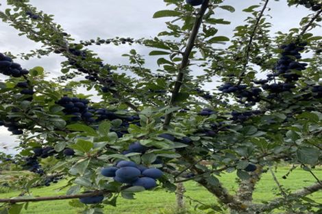 Photo of property in 59a Selwyn Street, Pohara, Takaka, 7183