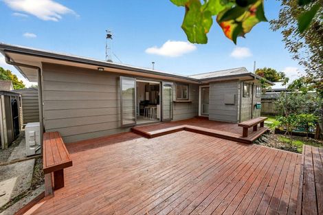 Photo of property in 41a Manawatu Street, Hokowhitu, Palmerston North, 4410