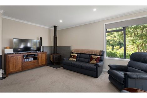 Photo of property in 101 Collarbone Road, Thames, 3500