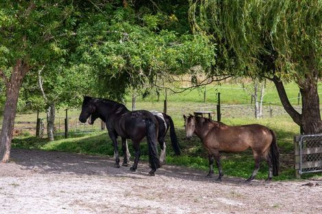 Photo of property in 306 Oneriri Road, Kaiwaka, 0573