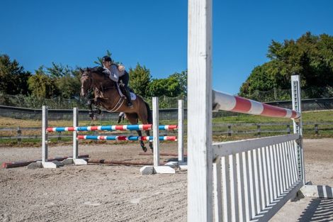 Photo of property in 94 Fergusson Gully Road, Karapiro, Cambridge, 3494