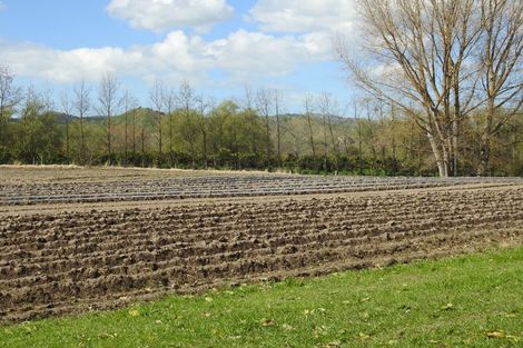 Photo of property in 1468 Matawai Road, Ormond, Gisborne, 4071