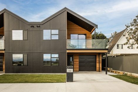 Photo of property in 138c Te Awa Avenue, Awatoto, Napier, 4110